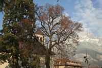 Cjp_2013_11_28_142532.jpg