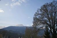 Cjp_2013_11_28_144302.jpg