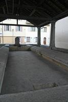 Cjp_2013_11_28_145050.jpg