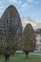 Cjp_2013_11_28_151708.jpg