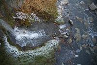Cjp_2013_11_28_153154.jpg