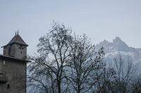 Cjp_2013_11_29_073330.jpg