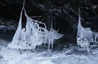 Cjp_2013_11_29_074556.jpg