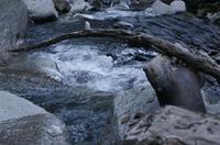 Cjp_2013_11_29_074620.jpg