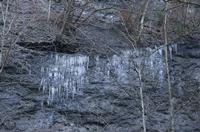 Cjp_2013_11_29_075046.jpg