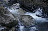 Cjp_2013_11_29_075116.jpg