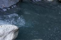 Cjp_2013_11_29_075138.jpg
