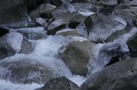 Cjp_2013_11_29_080644.jpg