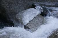 Cjp_2013_11_29_080702.jpg