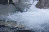 Cjp_2013_11_29_080822.jpg