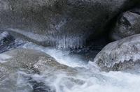 Cjp_2013_11_29_080902.jpg