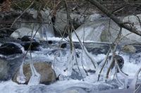 Cjp_2013_11_29_081214.jpg