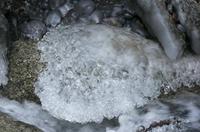 Cjp_2013_11_29_081954.jpg