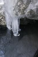 Cjp_2013_11_29_082154.jpg
