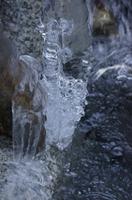 Cjp_2013_11_29_082220.jpg