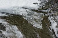 Cjp_2013_11_29_101010.jpg
