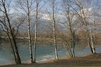Cjp_2013_11_29_110732.jpg