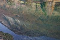 Cjp_2013_11_29_111828.jpg