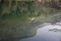 Cjp_2013_11_29_111838.jpg