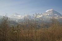 Cjp_2013_11_29_113600.jpg