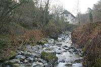 Cjp_2013_11_29_151022.jpg
