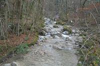 Cjp_2013_11_29_151336.jpg