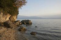 Cjp_2013_12_03_075508.jpg
