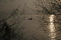 Cjp_2013_12_03_075954.jpg
