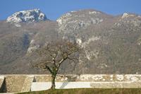 Cjp_2013_12_03_082120.jpg
