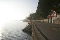 Cjp_2013_12_03_083222.jpg