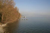 Cjp_2013_12_03_083240.jpg