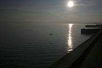 Cjp_2013_12_03_083440.jpg