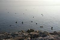Cjp_2013_12_03_084408.jpg