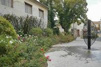 Cjp_2014_09_29_072748.jpg