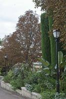 Cjp_2014_09_29_073132.jpg