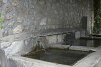 Cjp_2014_09_29_114014.jpg