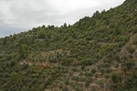 Cjp_2014_09_29_114736.jpg