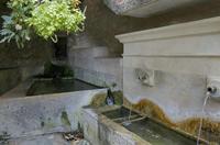 Cjp_2014_09_29_115706.jpg