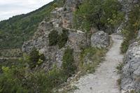 Cjp_2014_09_29_123410.jpg