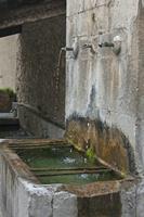 Cjp_2014_09_29_125206.jpg