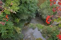 Cjp_2014_09_29_125908.jpg