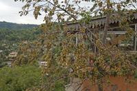 Cjp_2014_09_29_130210.jpg