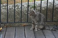 Cjp_2014_09_29_130624.jpg