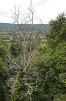 Cjp_2014_09_29_133510.jpg