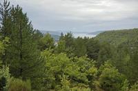 Cjp_2014_09_30_065432.jpg