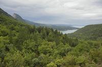 Cjp_2014_09_30_065612.jpg