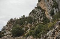 Cjp_2014_09_30_070602.jpg