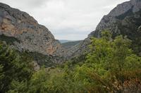 Cjp_2014_09_30_071746.jpg