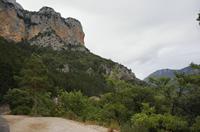 Cjp_2014_09_30_072004.jpg