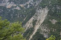 Cjp_2014_09_30_072126.jpg